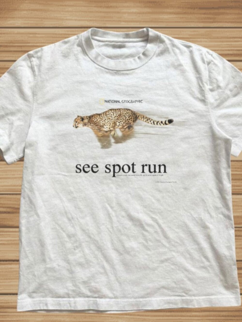 Rare 2001 National Geographic Cheetah Graphic Tee | See Spot Run